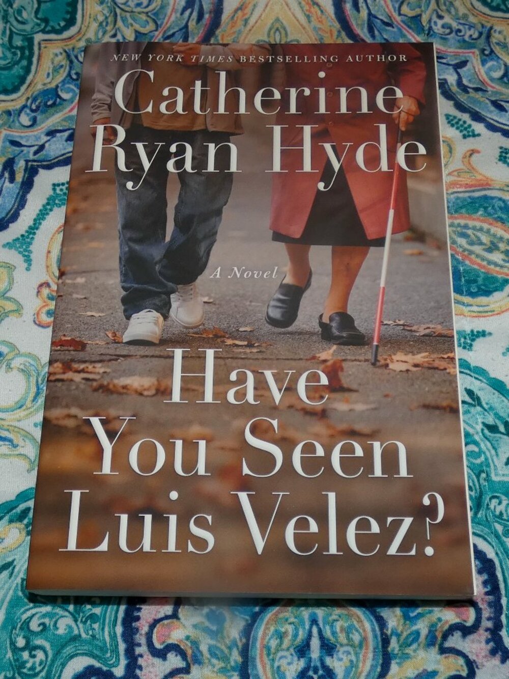 Have You Seen Luis Velez? by Catherine Ryan Hyde